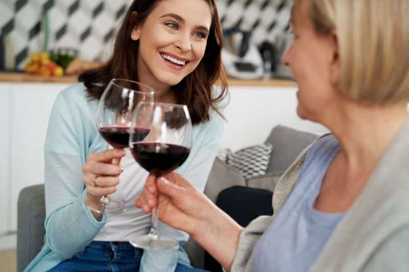 Pequenos negócios que dão lucro: duas mulheres em casa apreciando taça de vinho de um clube de assinaturas.